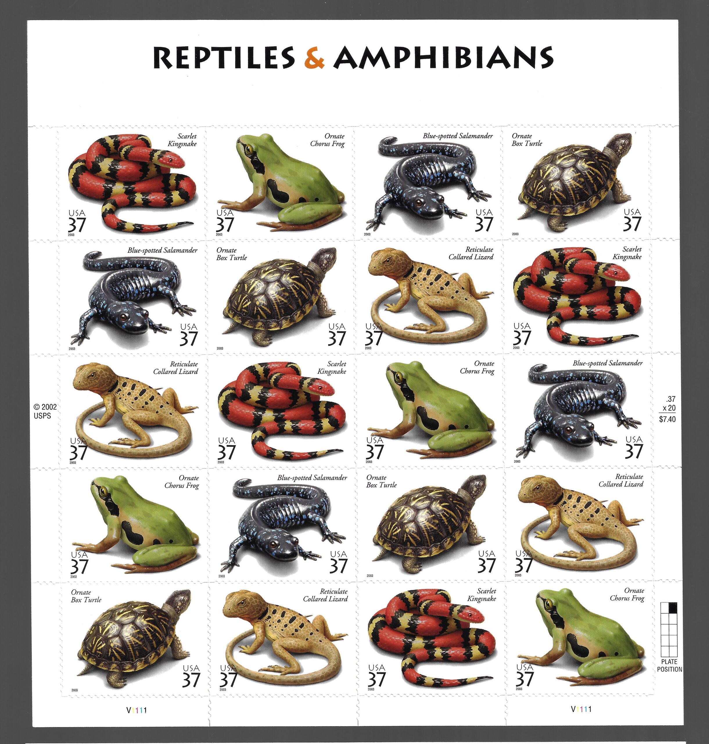 3925 2003 Stati Uniti, Rettili e Anfibi # 3925/3929 Minifoglio di 20, MNH** - immagine 1