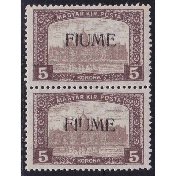 1918-19 Fiume, n° 20 5k. bruno e bruno chiaro  MNH/**  COPPIA