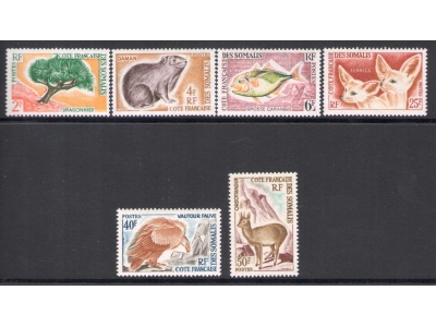 1962 COTE DES SOMALIS - Yvert n. 305-310 - Animali - 5 valori - MNH**