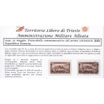 1949 TRIESTE A - n° 41 100 Lire bruno NUOVO (MNH/**)+USATO