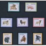 1966 ALBANIA ,    Animali , n° 1028/35 , MNH**