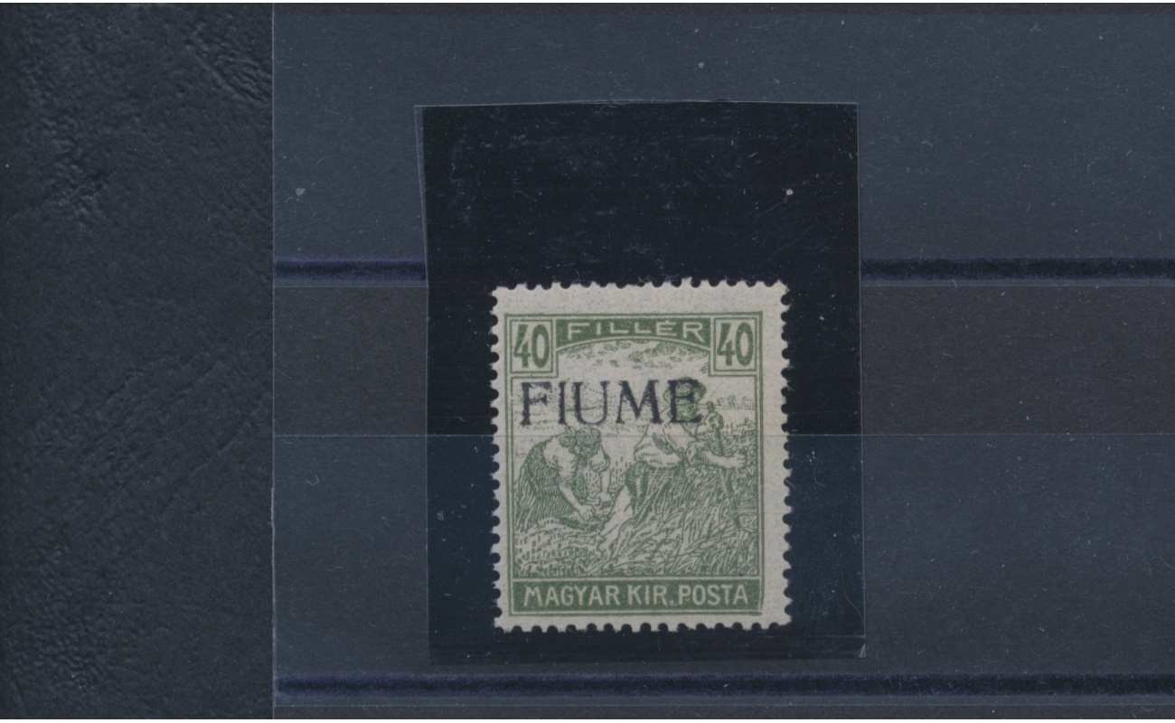 1918-19 Fiume, n° 13 , 40 Filler oliva , Mietitore e Veduta ,Varietà Decalco Non catalogato  , MNH**