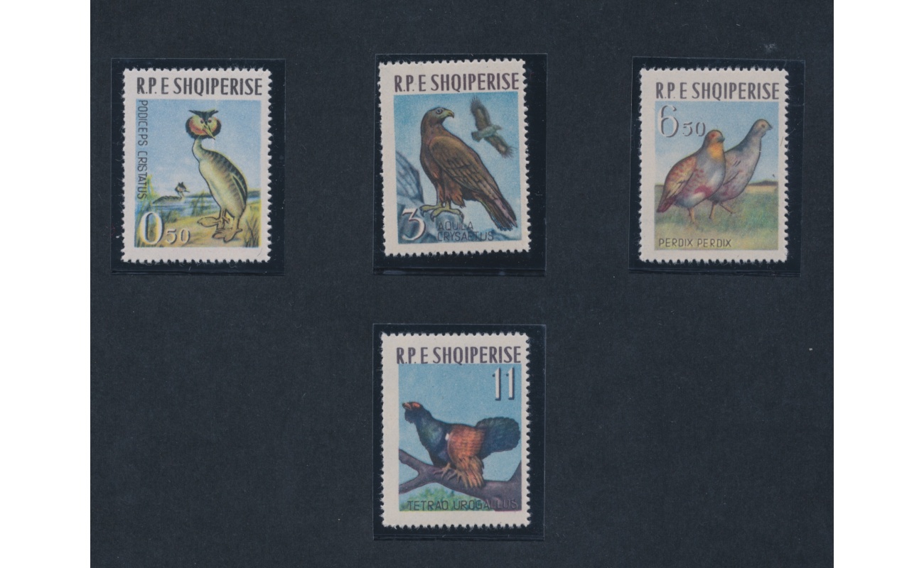 1963 ALBANIA ,   Fauna - Uccelli , n° 741/44 , MNH**