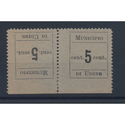 1918 Municipio di Udine , 5 cent nero su carta verde azzurra, Tete-Beche - orizzontale -MLH** Signed/Siglato Alberto Diena
