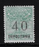 1924 TRIPOLITANIA, Tasse Vaglia, 40 verde soprastampa caratteri grandi, MNH**