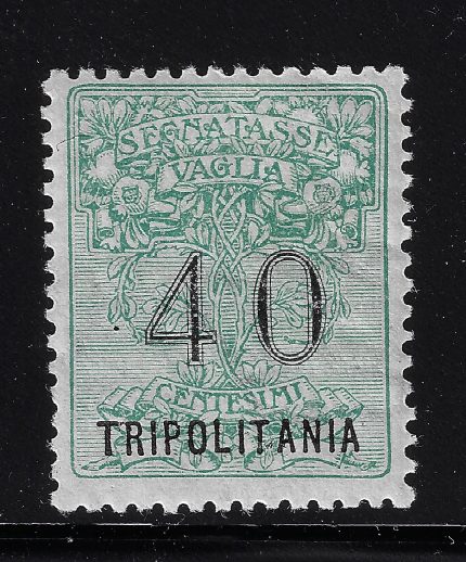 1924 TRIPOLITANIA, Tasse Vaglia, 40 verde soprastampa caratteri grandi, MNH**