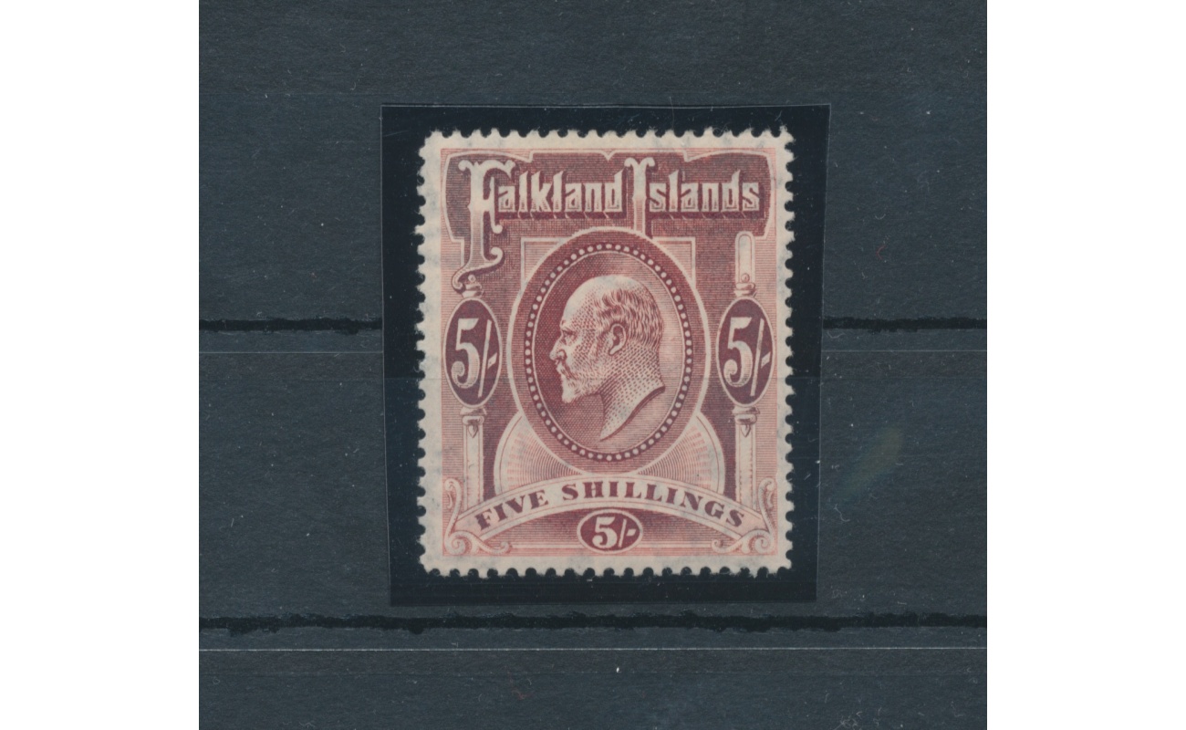 1904-12 FALKLAND ISLANDS - Stanley Gibbons n. 50 - 5 scellini red - MNH** - Lusso