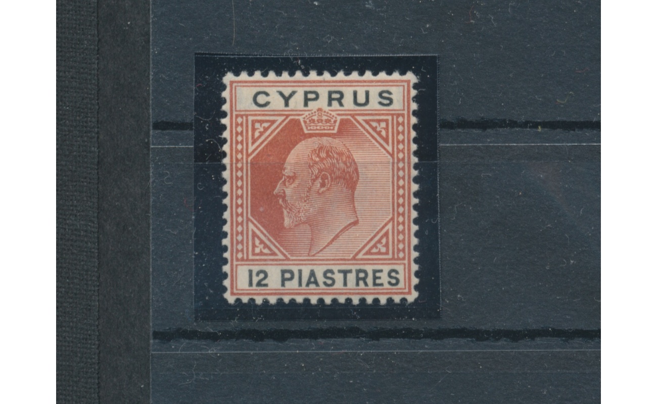 1904-10 Cipro , Stanley Gibbons n. 69 - 12 Piastre chestnut and black - MH*