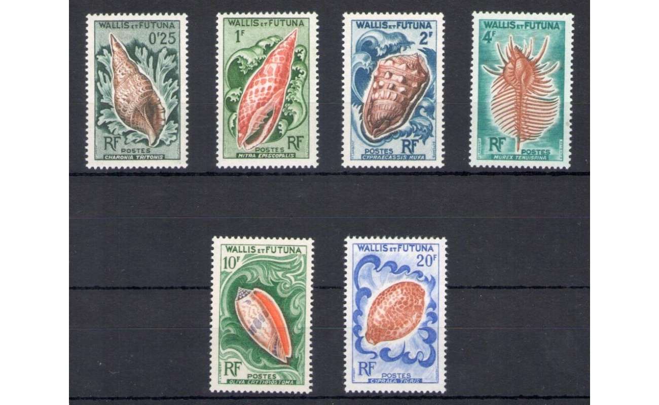 1962-63 Wallis et Futuna - Yvert n.  162-167 - Conchiglie - 6 valori - MNH**