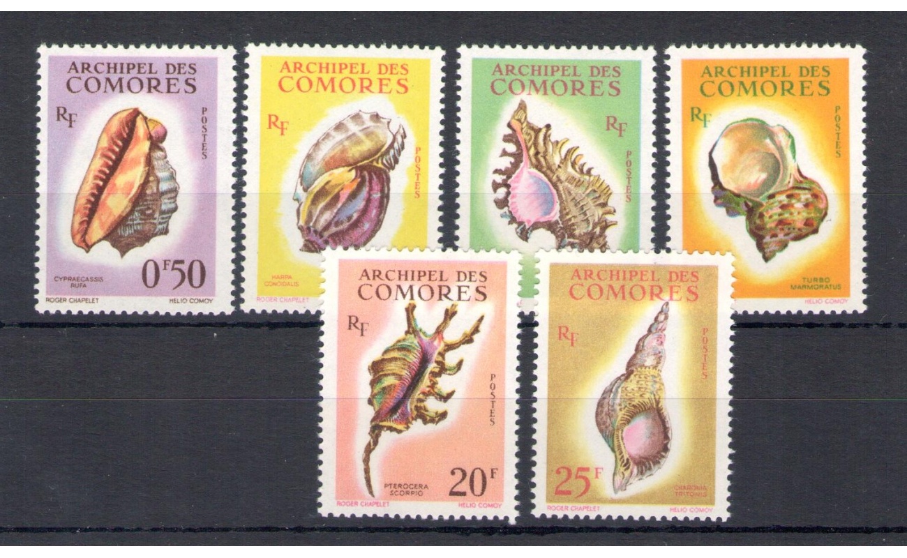 1962 Comores - Catalogo Yvert n. 19-24 - Conchiglie - 6 valori - MNH**