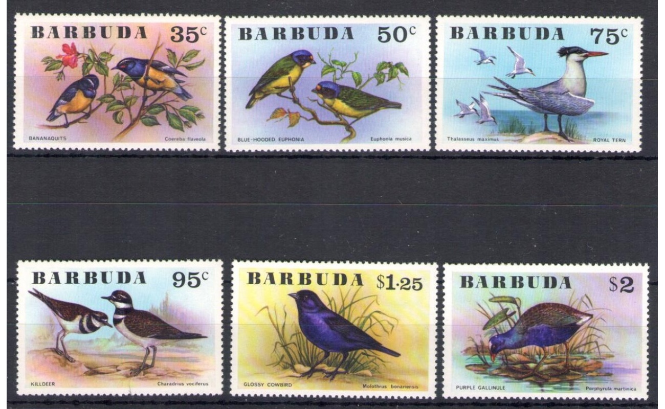 1976 Barbuda , Uccelli - Yvert n. 251-56 - 6 valori - MNH**