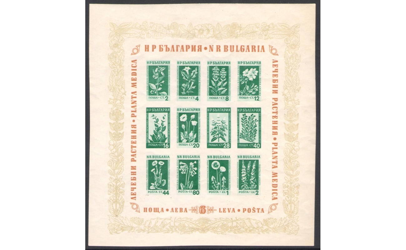 1935 BULGARIA , Fiori e Piante Medicinali - Yvert Foglietto n.  4 - Non Dentellato 160mm x 172 mm - MNH**
