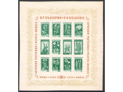 1935 BULGARIA , Fiori e Piante Medicinali - Yvert Foglietto n.  4 - Non Dentellato 160mm x 172 mm - MNH**