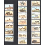 1987 BOTSWANA -  Catalogo Yvert n. 551-70 - Animali del Botswana - 20 valori -  MNH**
