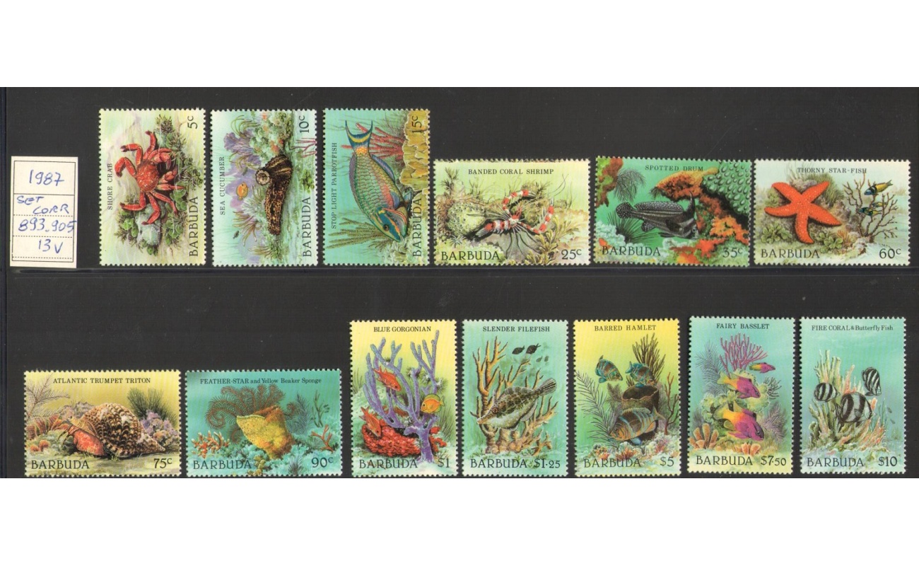 1987 Barbuda - Yvert et Tellier n. 893-905 - Serie Ordinaria - Fauna Marina - 13 valori - MNH**