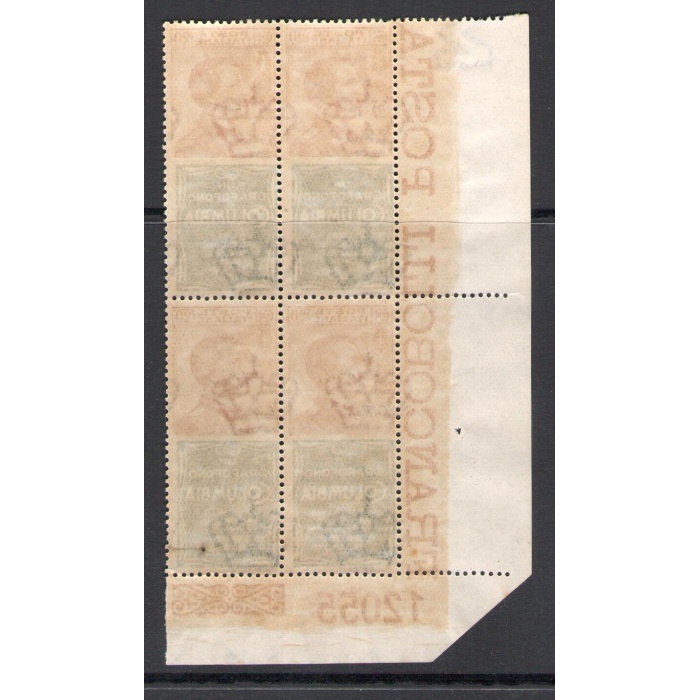 1924 Regno d'Italia,  Pubblicitario n° 20 , 20 cent Columbia arancio e brunastro verde , Blocco di Quattro con numero di tavola - MNH**