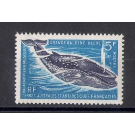 1966 TAAF - Fauna Marina - 5 Franchi blu e violetto - Yvert  n. 22 - MNH**