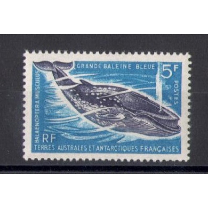 1966 TAAF - Fauna Marina - 5 Franchi blu e violetto - Yvert  n. 22 - MNH**