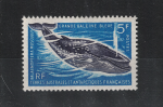 1966 TAAF - Fauna Marina - 5 Franchi blu e violetto - Yvert  n. 22 - MNH**