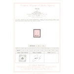 1922-23 Italia - Regno - B.L.P. 10 cent rosa , Catalogo Sassone n. 5 - MNH** Firma di Garanzia al verso