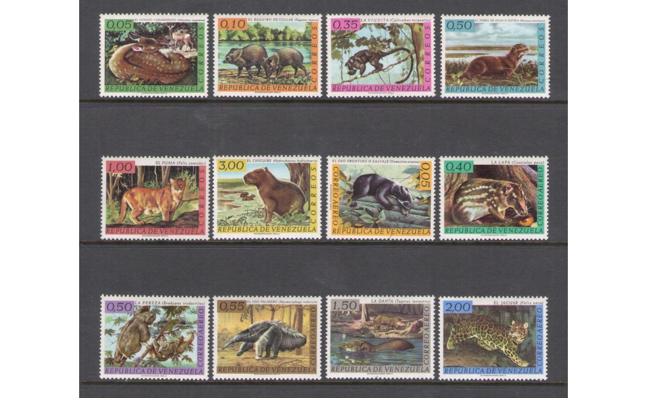 1963 Venezuela - Repubblica  - Animali Posta Ordinaria + Posta Aerea - Yvert n. 668-73 + PA 778-83 - MNH**