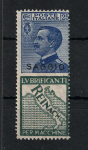 1924 Italia, Pubblicitario, Saggio # 7, 25 cent Reinach azzurro e verde, MNH**