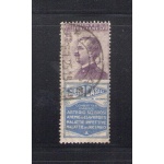 1924 Italia - Regno ,  Pubblicitario n. 15 , 50 cent violetto oltremare Siero Casali , Usato