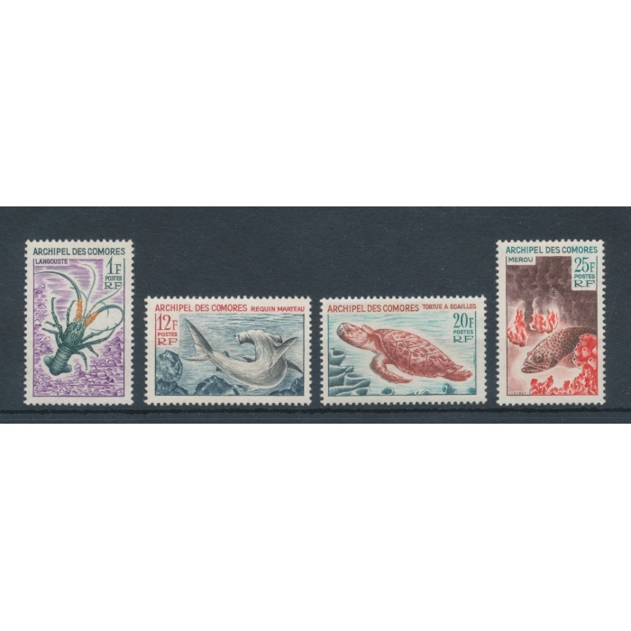 1966 Comores - Catalogo Yvert n. 35/38 - Fauna e Flora Marina - 4 valori - MNH**