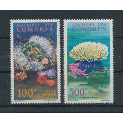 1962 Comores - Catalogo Yvert n. 5/6 - Fauna e Flora Marina - 2 valori - MNH**