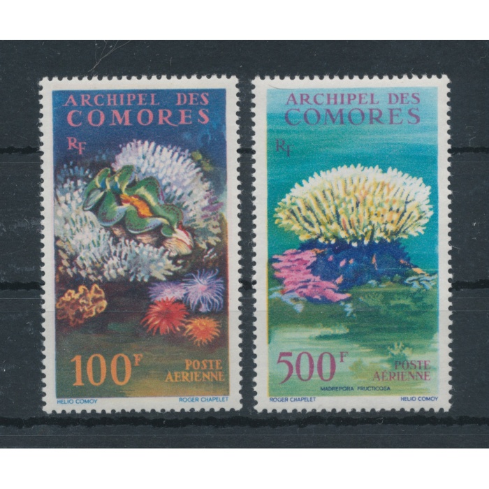 1962 Comores - Catalogo Yvert n. 5/6 - Fauna e Flora Marina - 2 valori - MNH**