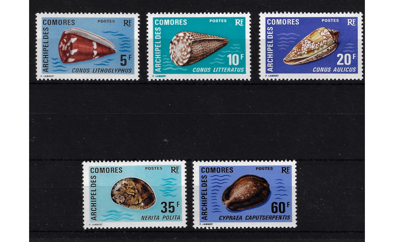 1971 Comores - Catalogo Yvert n. 72/76 - Conchiglie - 6 valori - MNH**