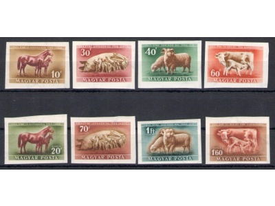 1951 Ungheria - Incremento Allevamento Animali - Non Dentellati - Michel  n° 1150/53 + Posta Aerea 103/06 - 8 valori - MNH**