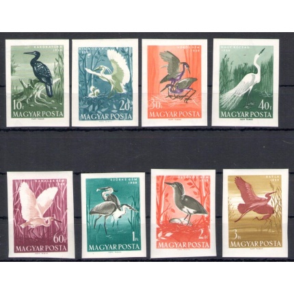 1959 Ungheria - Uccelli Acquatici - Non Dentellati - Michel  n. 1593B/1600B - 8 valori - MNH** - Tiratura 3533 esemplari