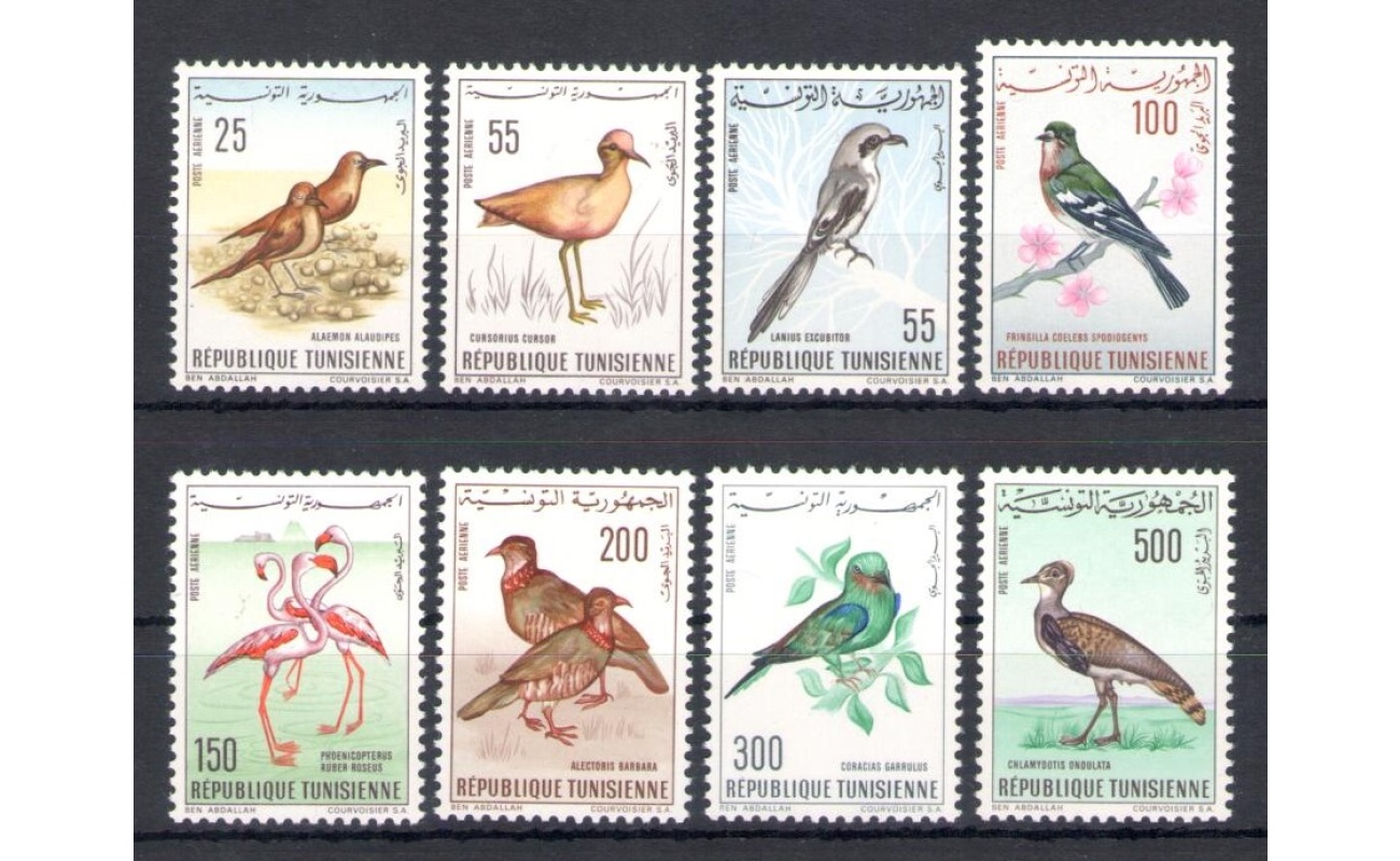 1965-66 Tunisia - Repubblique Tunisienne - Yvert n. 26-33 - Posta Aerea - Uccelli - 8 valori - Serie Completa - MNH**