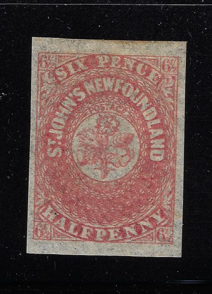 1862-64 TERRANOVA - NEWFOUNDLAND - SG 21 - 6 1/2 d. Rose Lake - MH*