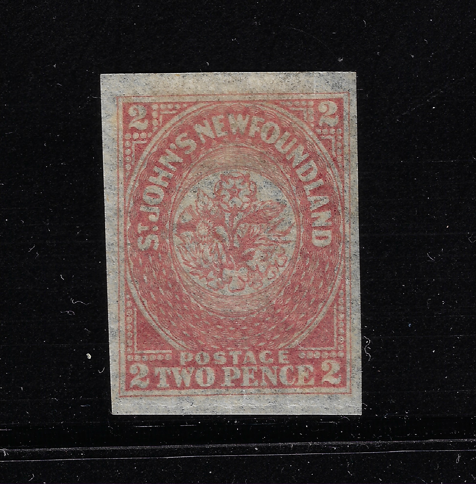 728765 newfoundland n 17 1 1862-64 Newfoundland - Stanley Gibbons n. 17 - 2d. rose lake - MH* - immagine 1