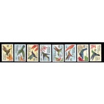 1993 Barbuda, Fauna, Uccelli - Yvert n. 1290/97 - MNH**