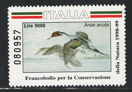 1 anatra 1998-99 Italia, Anatra , Anas Acuta, Lire 5.000 Alto Valore, MNH** - immagine 1