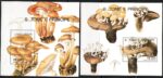 1991 S. Tomé e Principe, Yvert Foglietto # 107/08, Funghi, MNH**
