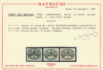 1946 Vaticano, Segnatasse Carta Grigia # 14I-18I, MNH** - immagine 3
