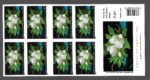 2004 Stati Uniti, Omaggio a Martin Johnson Heade, 20 valori # 4001, MNH**