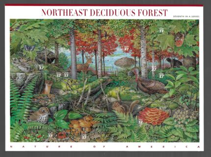 2005 Stati Uniti, Natura d'America, foreste # 4056-65, MNH**