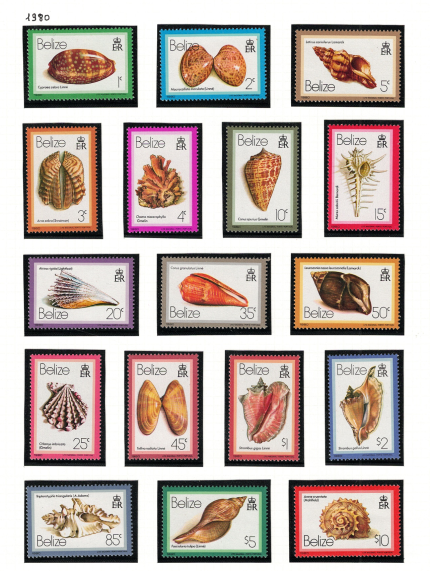 1980 Belize, Yvert # 455-71, Conchiglie, serie di 17 valori, MNH**