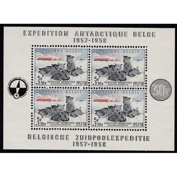 1957 Belgio - Spedizione antartica Belga - Catalogo Unificato Foglietto n. 31  - MNH**