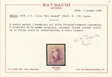 1919 Belgio - Catalogo COB n. 165/178 , Re Caduto ,  MNH**  Certificato - Raybaudi