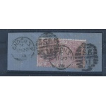 1875-80 GRAN BRETAGNA- n. 56  2p 1/2 rosa violaceo TAVOLA 4 COPPIA