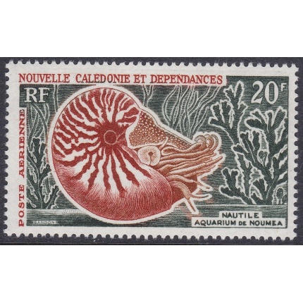 1962 NOUVELLE CALEDONIE - Coquille, Yvert  PA n° 68 20f.  MNH/**