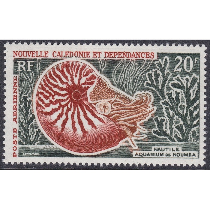 1962 NOUVELLE CALEDONIE - Coquille, Yvert  PA n° 68 20f.  MNH/**