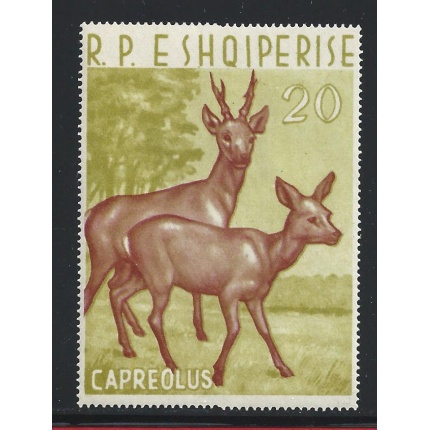 1963 ALBANIA - Squiperia , BF 15  Capriolo - Animali  MNH**