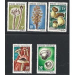 1967 Repubblica Centraficana, Scott 81/85 Funghi  MNH/**